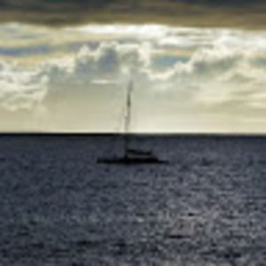 Meet your Posher, Danny